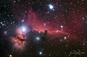 Horsehead nebula by Rankin