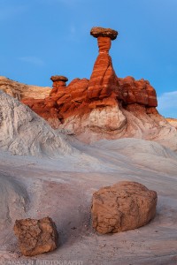 Southern Utah Toadstools by David Rankin