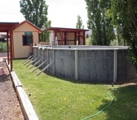 Back Yard With Pool