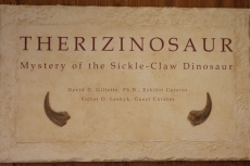 Entry Information Therizinosaur